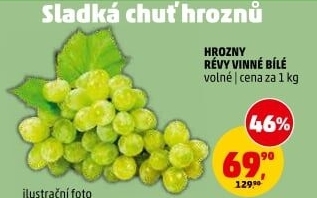 Hrozny bílé