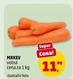 Mrkev