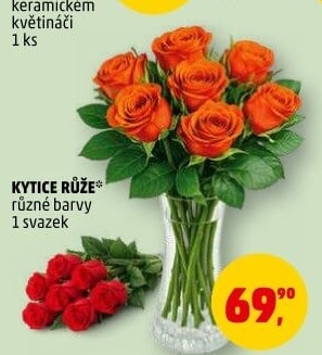 Řezané růže