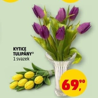 Řezané tulipány