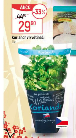 Bylinky v květináči Bylinky s.r.o.