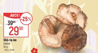 Houby Shiitake