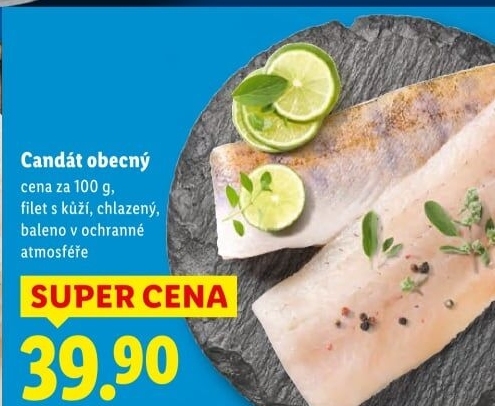 Candát obecný filety