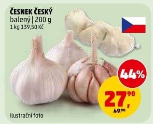 Česnek český