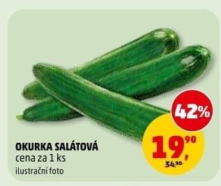 Okurka salátová - hadovka