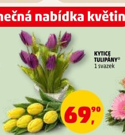 Řezané tulipány