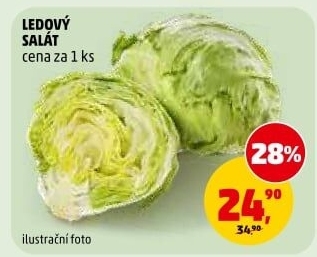 Salát ledový
