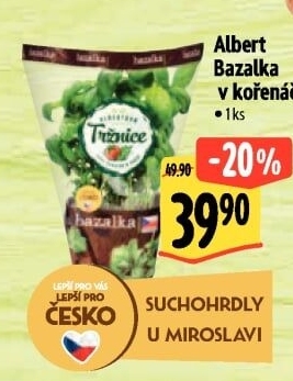 Bylinky v květináči Albert