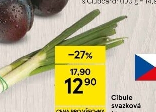 Jarní cibule svazek