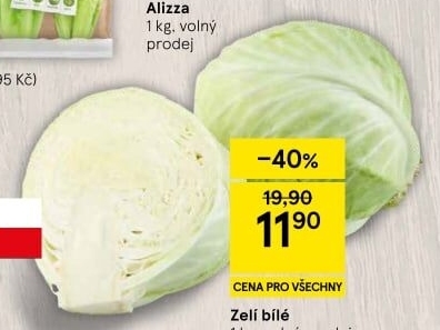 Zelí hlávkové bílé