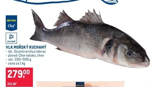 Vlk mořský kuchaný Metro Chef