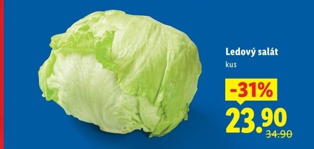 Salát ledový