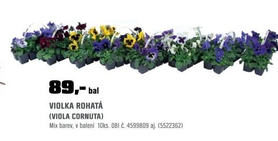 Viola cor. Farbmix