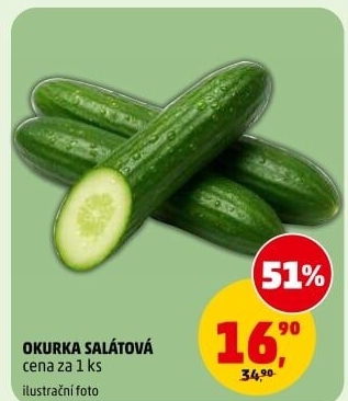 Okurka salátová - hadovka