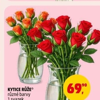 Řezané růže