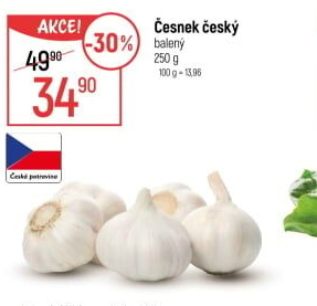 Česnek český