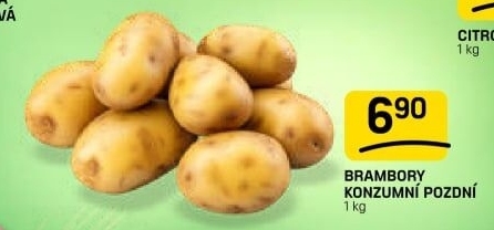 Brambory konzumní pozdní
