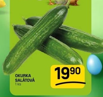 Okurka salátová - hadovka