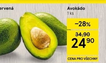 Avokádo