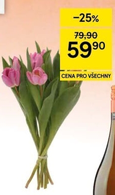 Řezané tulipány
