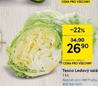 Salát ledový Tesco