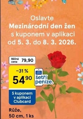 Řezané růže
