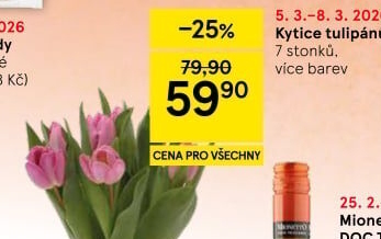Řezané tulipány