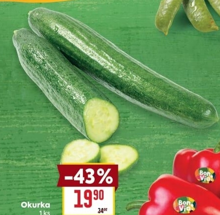 Okurka salátová - hadovka