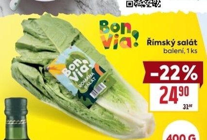 Salát římský Billa Bonvia