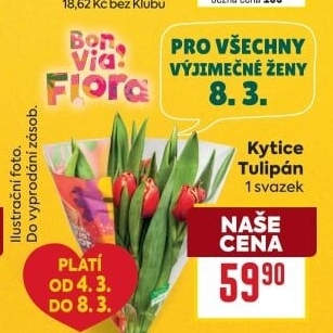 Řezané tulipány Flora Billa Bonvia