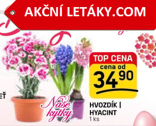 Mix kvetoucích rostlin