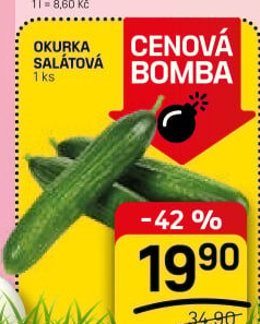 Okurka salátová - hadovka