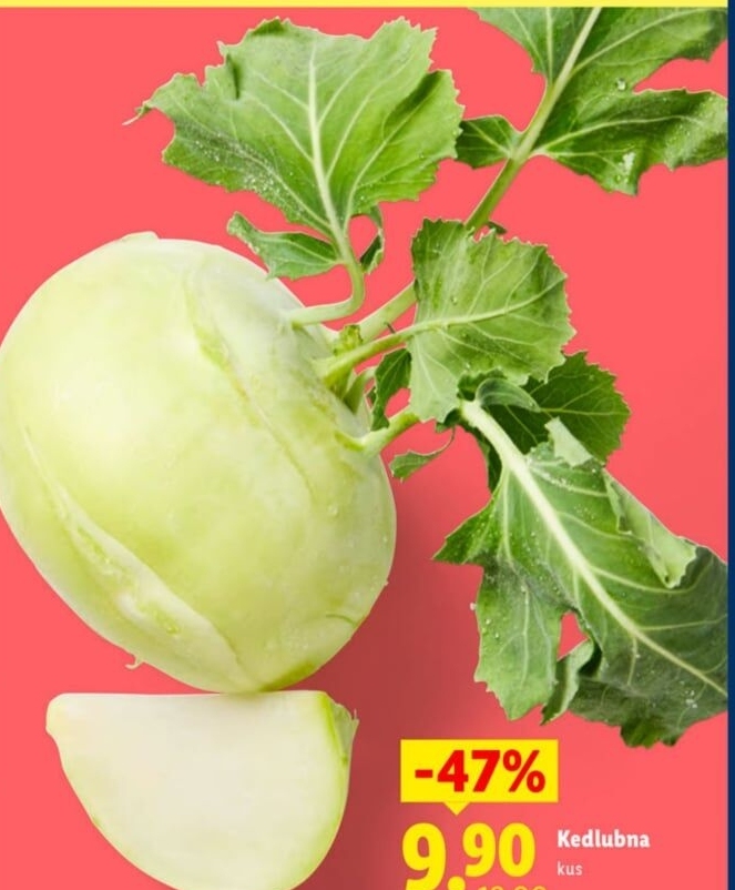 Kedlubna bílá