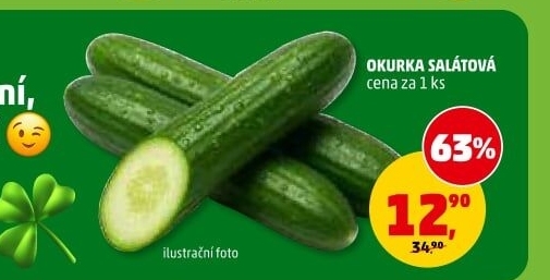 Okurka salátová - hadovka