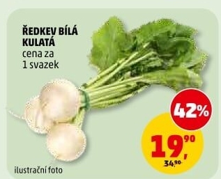 Ředkev bílá svazek