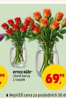 Řezané růže