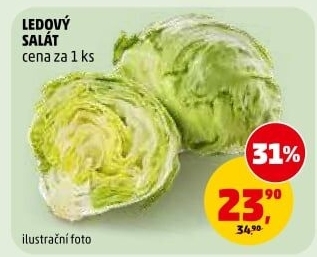 Salát ledový