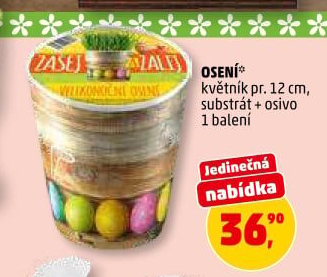 Velikonoční osení Zasej a zalij Forestina