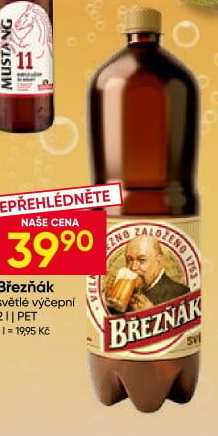 Pivo světlé výčepní 10° Březňák