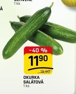 Okurka salátová - hadovka