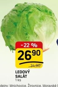Salát ledový