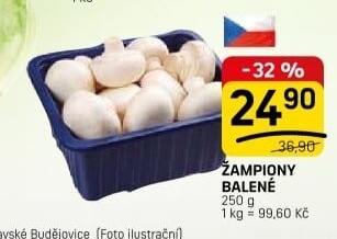 Žampiony