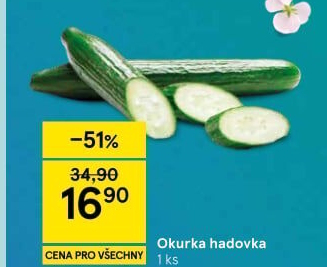 Okurka salátová - hadovka