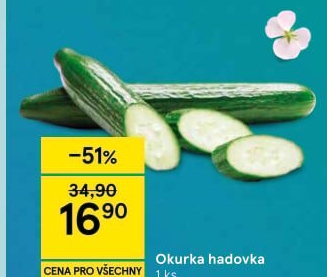 Okurka salátová - hadovka