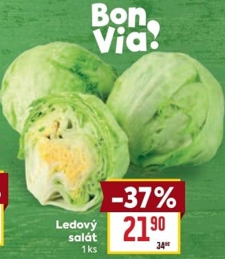 Salát ledový Billa Bonvia