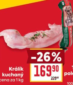Králík Rabbit