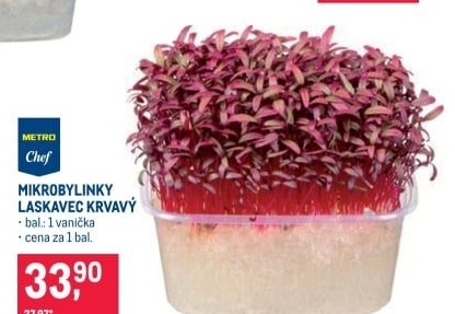 Mikrobylinky Laskavec krvavý Metro Chef