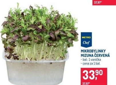 Mikrobylinky Mizuna červená Metro Chef