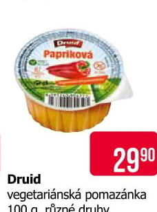 Vegetariánská pomazánka Druid