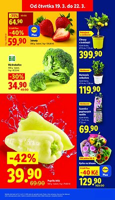 akční leták Lidl 19.3.2026-22.3.2026